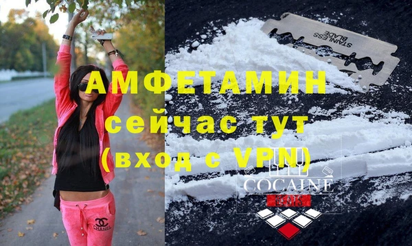 сатива Баксан