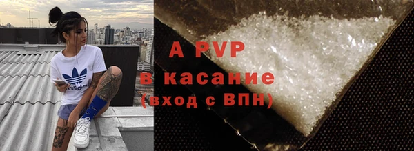 сатива Баксан